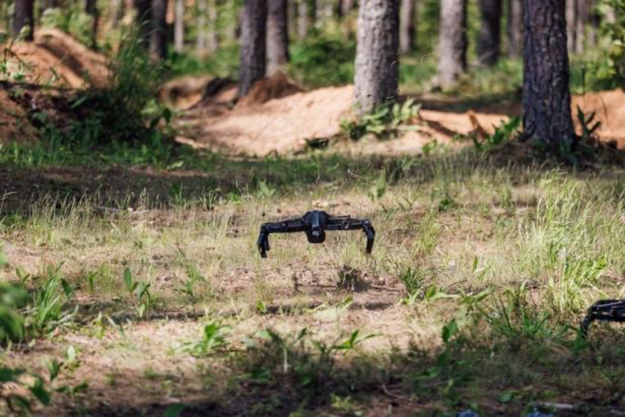 Kova Labs Kilo in forest terrain